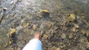 Sığ nehir taşlarının üzerinde çıplak ayakla yürüyen bir kız. Yakın, güneşli bir yaz günü.