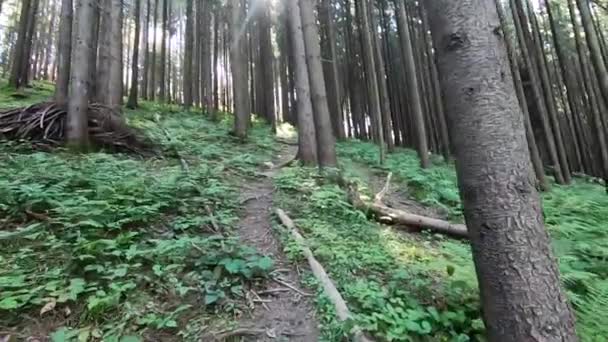 Ember mászik végig a lejtőn egy hegyen — Stock videók