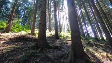 Bir adam bir dağın yamacına tırmanır.