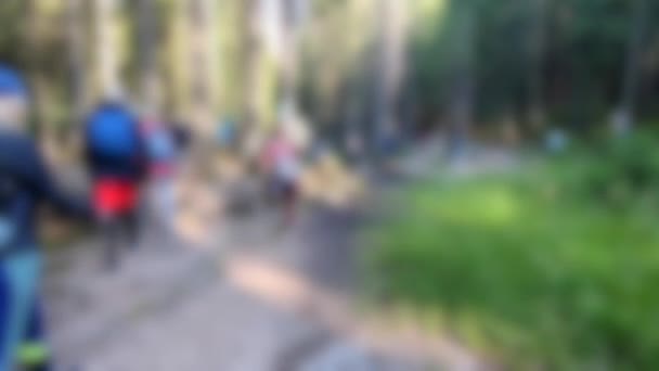 배경이 흐릿하다. 산비탈을 따라 걷고 있는 사람들 — 비디오