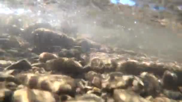 Το νερό ρέει σε ένα ορεινό ποτάμι — Αρχείο Βίντεο