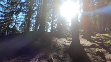 Bir adam bir dağın yamacına tırmanır.