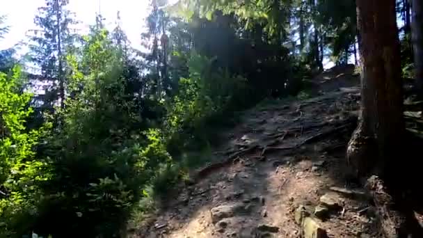 De mens klimt langs een helling op een berg — Stockvideo
