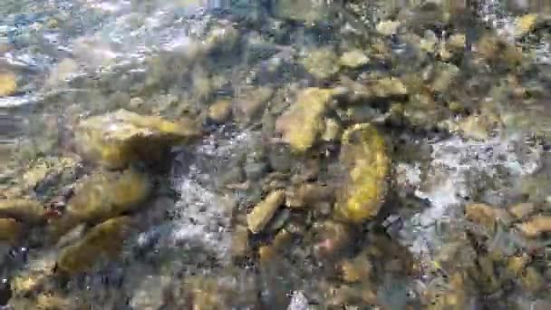 Fondo natural. El agua fluye sobre las piedras en el fondo de un río poco profundo — Vídeo de stock