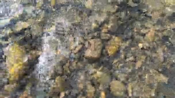 Natural background. Water flows over stones at the bottom of a shallow river — Stock Video