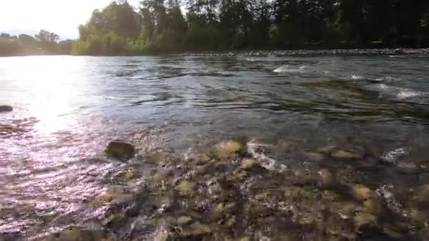 Речная вода с чистой прозрачной и чистой водой течет среди гор — стоковое видео