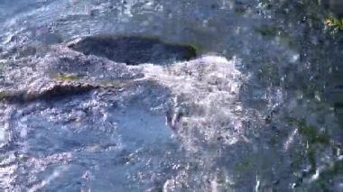 Akan nehrin su yüzeyinin net bir arka planı yok. Üst görünüm