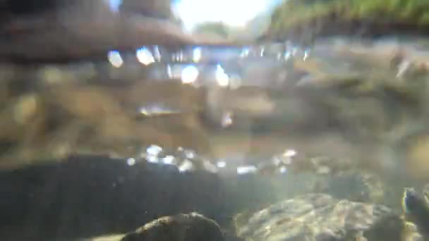 Fließendes Wasser, Oberlicht der Sonne durch Wasser, Steine am Boden liegend — Stockvideo