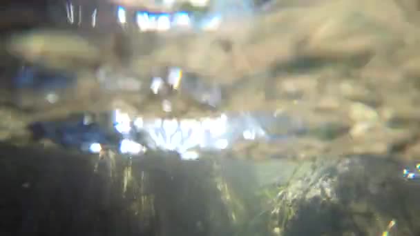 流れる水の中に太陽の光があり，石は下にあり， — ストック動画