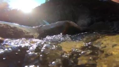 Çok güzel bir dağ manzarası, akan bir nehir ve parlak bir yansıması var.