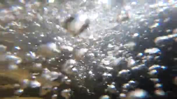 Vue sous-marine de bulles d'air blanches et transparentes filant et flottant — Video