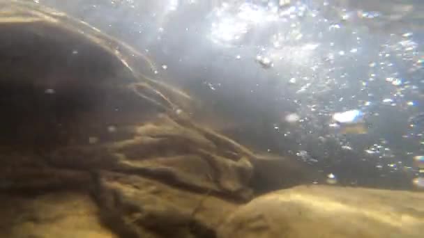 Vecchie pietre ricoperte di mulo e limo marrone si trovano sul fondo del fiume — Video Stock