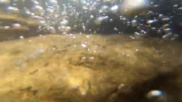 Alte, mit Maultier und braunem Schlamm bedeckte Steine liegen am Grund des Flusses — Stockvideo