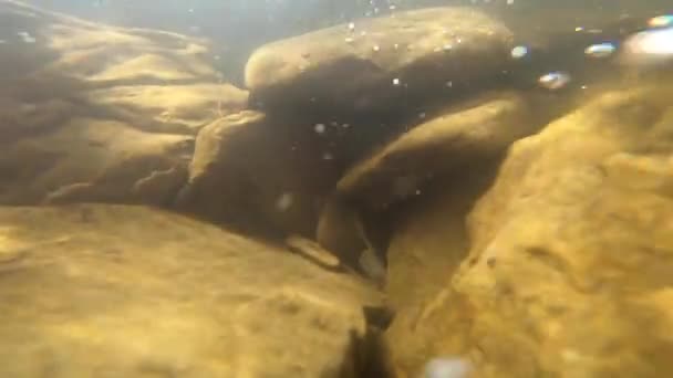 Öszvérrel és barna iszappal borított öreg kövek hevernek a folyó fenekén. — Stock videók