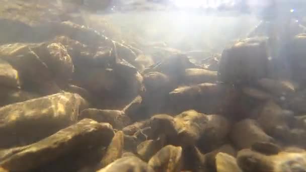 Acqua che scorre, lucernario del sole attraverso l'acqua, pietre che giacciono in basso, — Video Stock