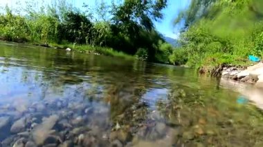 Kamera sığ dağ nehrinin sularına iniyor..
