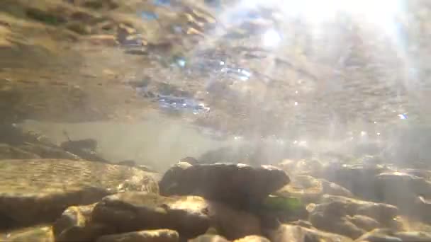 Eau qui coule, puits de lumière du soleil à travers l'eau, pierres au fond — Video