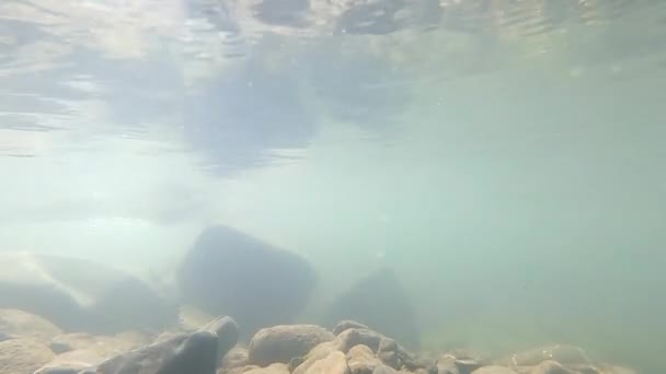 Uvnitř mělké řeky s kamenitým dnem a kalnou vodou. Pod hladinou — Stock video