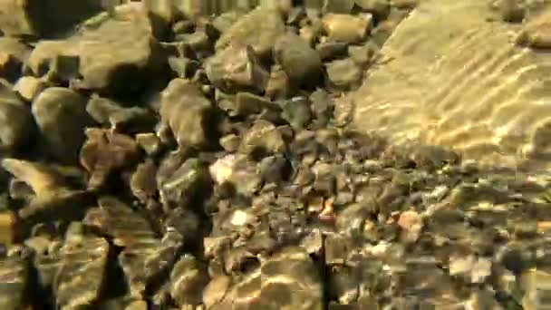 Submerging river. Underwater view with stones covered mule at bottom — Stock Video