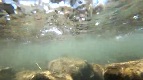 Onderwaterzicht onder het oppervlak van stromende waterstroom — Stockvideo