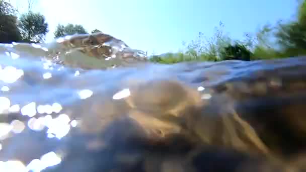 Vista da superfície do rio fluindo, pontos brancos do bokeh do brilho do sol brilhante — Vídeo de Stock