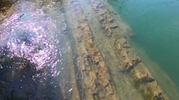 Řeka s obrovským kouskem skalního horského kamene na dně — Stock video