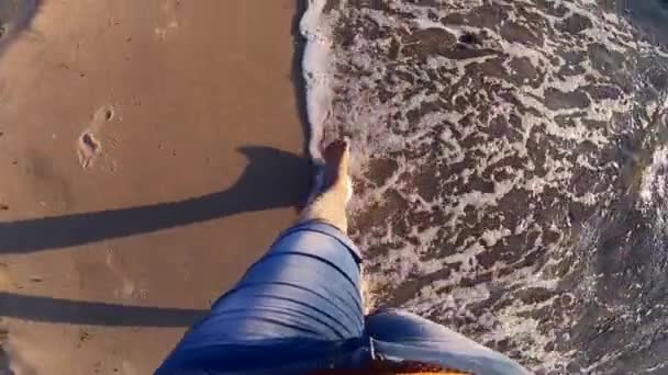 Uma menina caminha na praia com areia marrom e conchas. — Vídeo de Stock