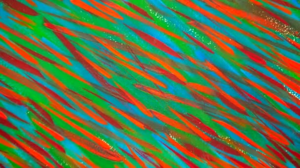 Many different colored lines painted bright paint on canvas close-up. — Stock Video