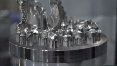 Metal 3D yazıcıda yazdırmak için platformda insan dişlerinin 3 boyutlu cildi
