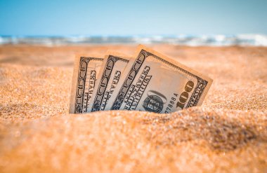 Paranın yarısı kumla kaplıydı. Deniz kıyısındaki kumsalda yatıyordu.