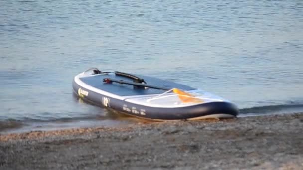 Placas vazias de sup oscilam nas ondas do mar — Vídeo de Stock