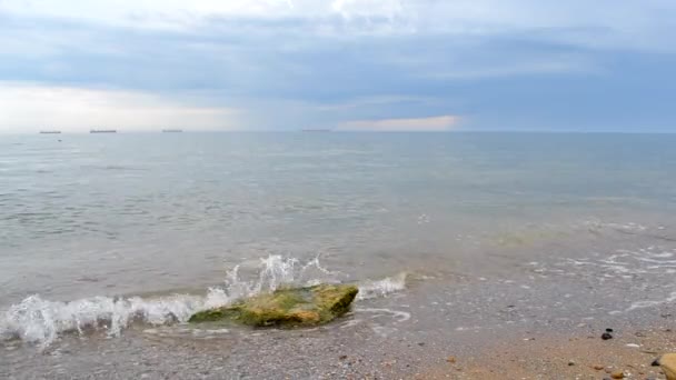 잔잔 한 비가 내리는 온화 한 날씨에 구름 이 끼어 있는 바닷가의 거친 풍경 — 비디오