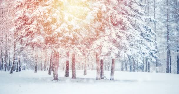 Fantástico cuento de hadas mágico paisaje vista árbol de Navidad — Vídeo de stock