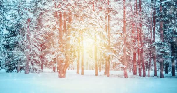 Fantastische märchenhafte magische Landschaft Ansicht Weihnachtsbaum — Stockvideo