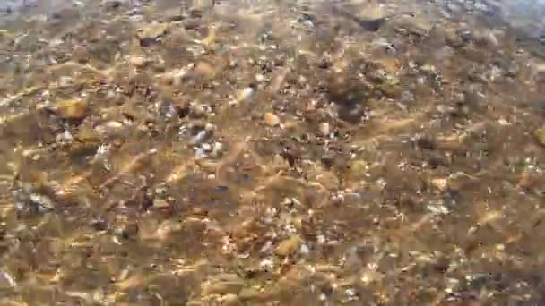 Fundo marinho arenoso com conchas e rochas pequenas. Linhas de brilho solar se movem — Vídeo de Stock