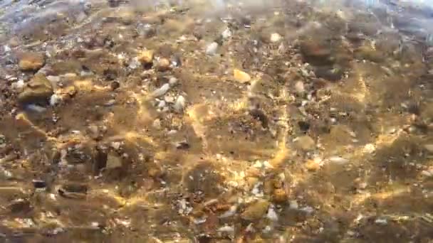 Zandbodem met schelpen en kleine rotsen. Zonneschijn beweegt — Stockvideo