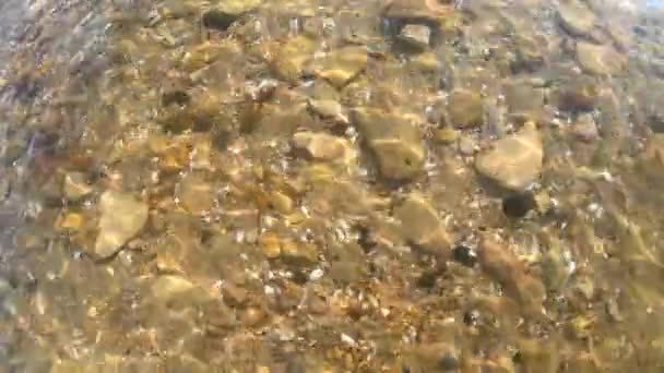 Background yellow sandy bottom with stones rocks and seashells. — Stock Video