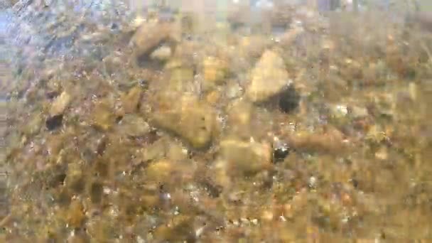 Fondo fondo amarillo arenoso con piedras rocas y conchas marinas. — Vídeo de stock