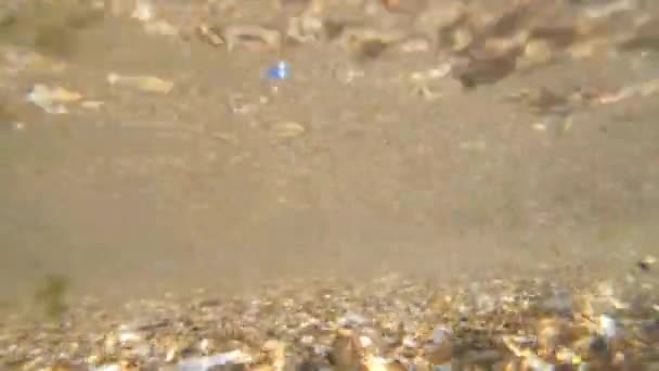 純粋で透明な水の波がカメラの上を転がる。下の図. — ストック動画