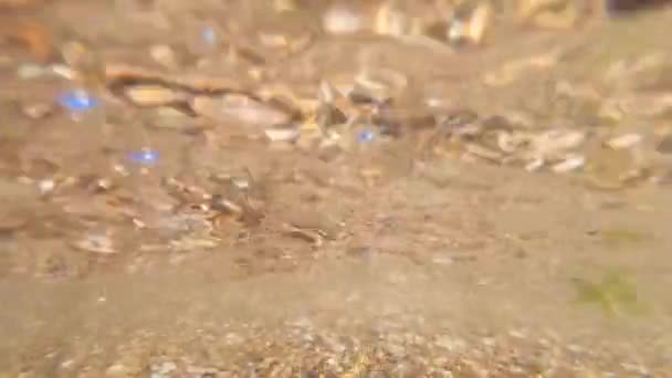 Ondas de agua puras y transparentes rodar sobre la cámara. Vista inferior. — Vídeos de Stock