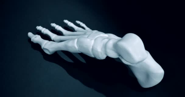 İnsan ayağı iskeletinin beyaz prototipi 3D yazıcıya basılmış. — Stok video