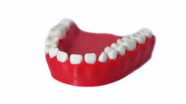 Beyaz arkaplanda izole edilmiş 3d yazıcı tarafından basılan nesneler.