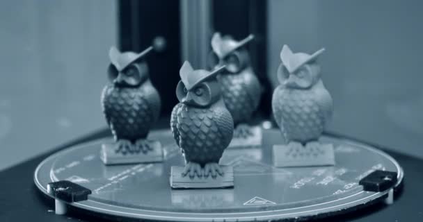 The models of owls created on the 3d printer stand on the desktop — Stock Video