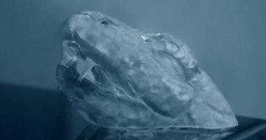 Stereolitografi 3D yazıcıya yazdırılmış nesneler,