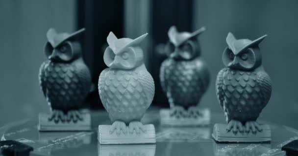 Four models of owls created on a 3d printer stand on the desktop — Stock Video