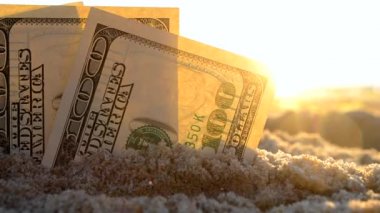 Üç dolarlık banknotlar gün batımında deniz kenarında kumlara gömülür.