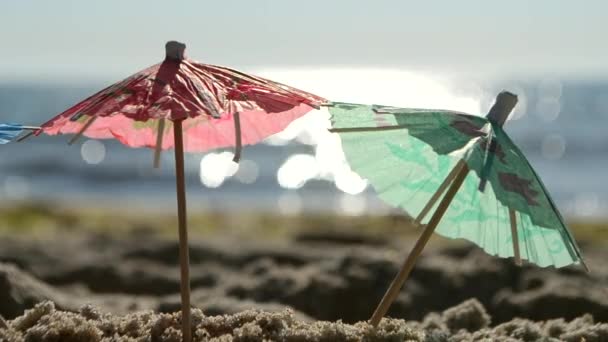 Paper cocktail umbrellas in sand on seashore on sunny summer day close-up — Stock Video