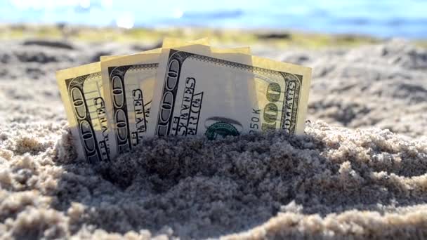 Três notas de dólar são enterradas na areia na praia perto do mar — Vídeo de Stock