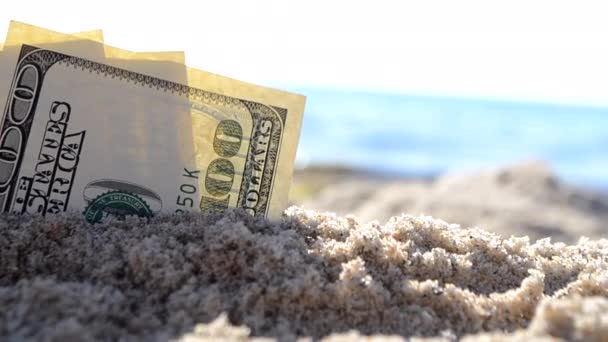 Drei-Dollar-Scheine werden am Sandstrand in der Nähe des Meeres im Sand vergraben — Stockvideo