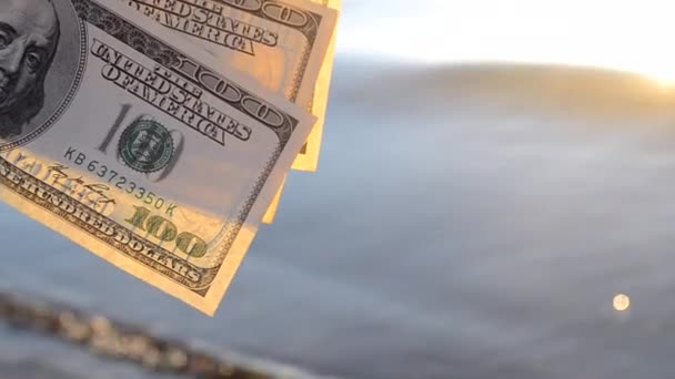 Driehonderd dollar biljetten op de achtergrond van het zeeoppervlak. 100 dollar contant — Stockvideo